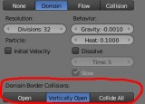 Domain Collision Settings