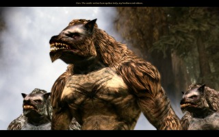 Dragon Age: Origins - Werewolves in the Brecilian Forest