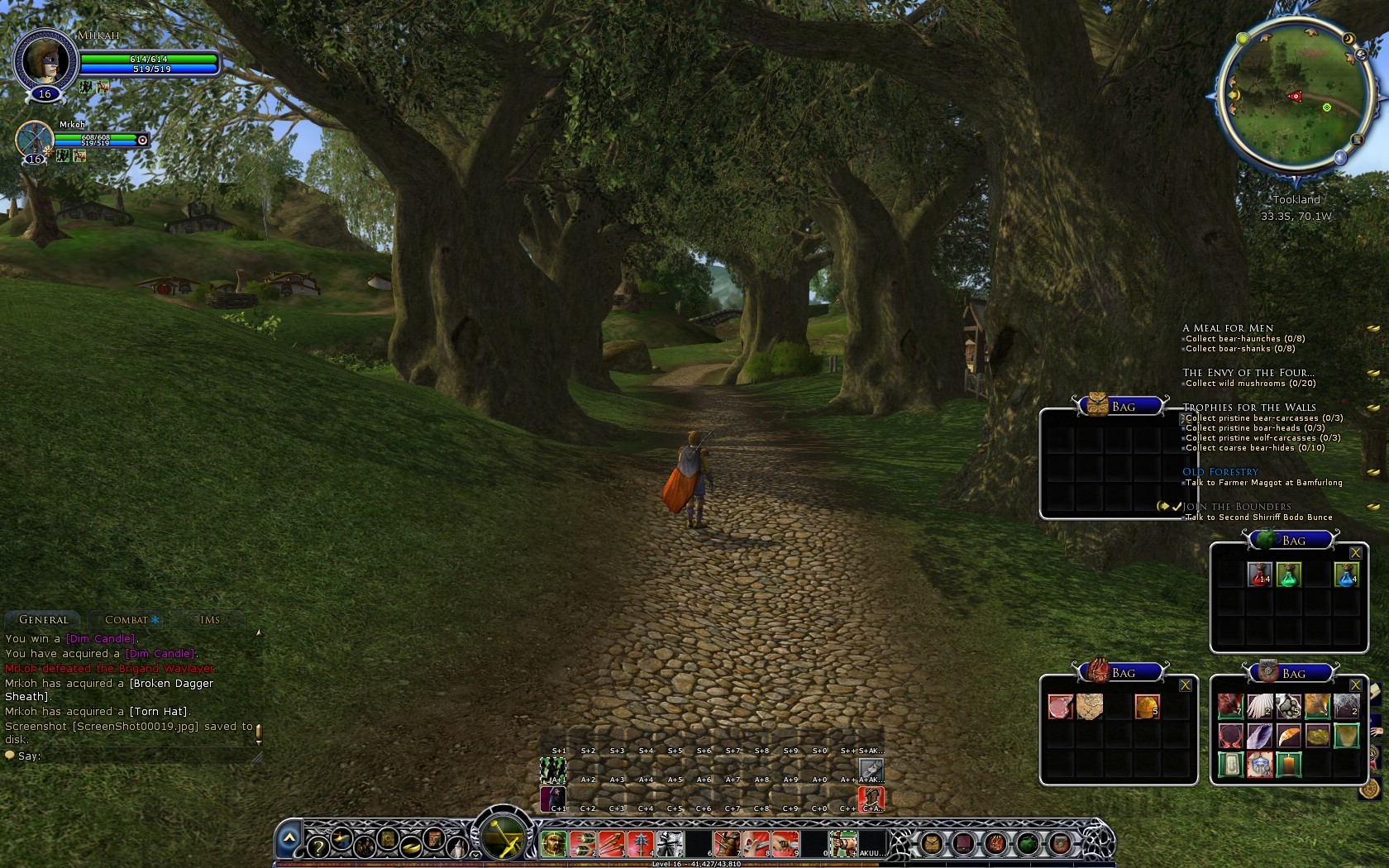 MiikaHweb - Game : The Lord of the Rings Online