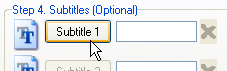 You can add one or more subtitle tracks.